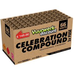 PROFFESIONAL CELEBRATION (VWD4811) (nc)